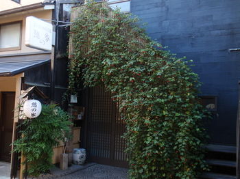 Guest House Ikoi-no-Le